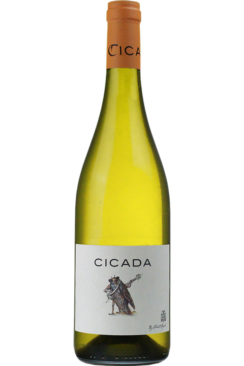 Cicada Blanc by Chante Cigale