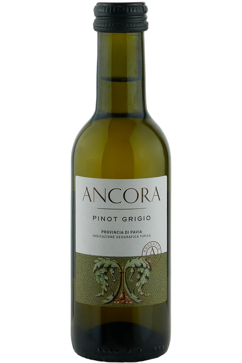 Ancora Pinot Grigio Single Serve