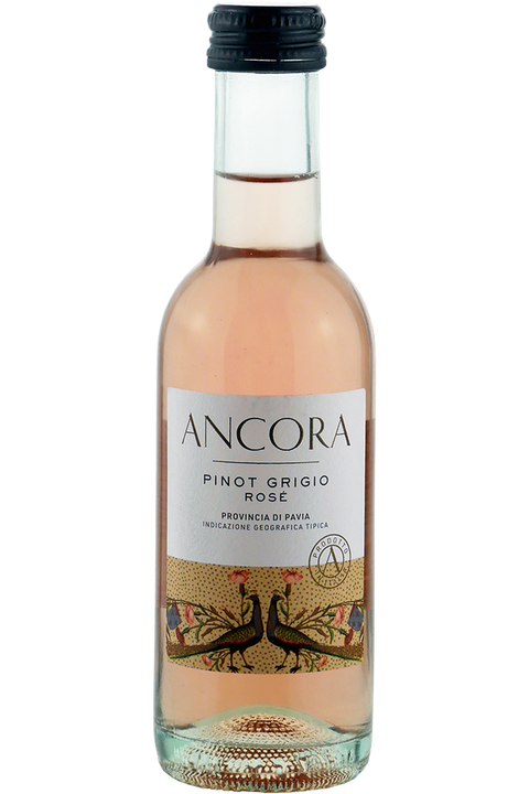 Ancora Pinot Grigio Rose Single Serve