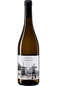 Pecorino Wines