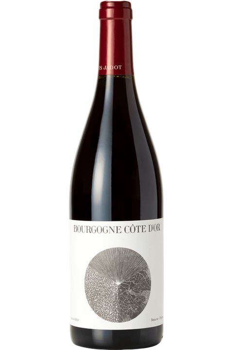 Louis Jadot Bourgogne Pinot Noir Cote d'Or