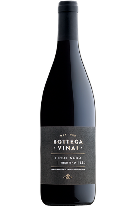 Bottega Vinai Pinot Nero
